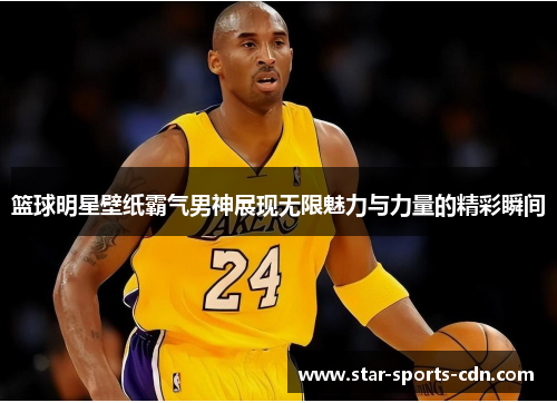 篮球明星壁纸霸气男神展现无限魅力与力量的精彩瞬间