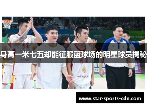 身高一米七五却能征服篮球场的明星球员揭秘